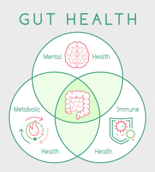 WHAT IS GUT HEALTH & WHY IS IT IMPORTANT? | Bakers Delight